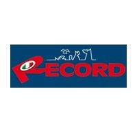 RECORD logo