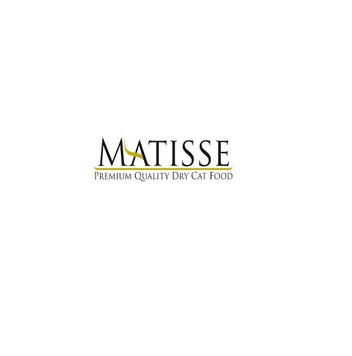 MATISSE logo