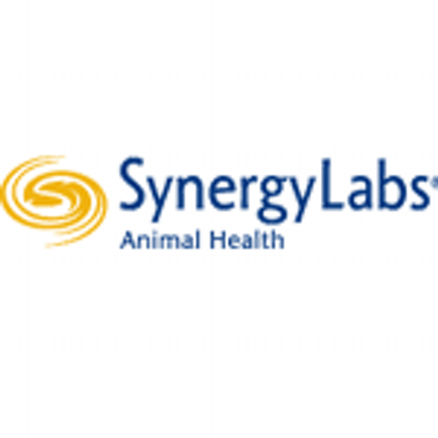 SYNERGY LABS logo