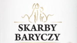 SKARBY BARYCZY SKLEP