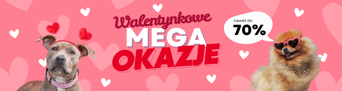 2025-01-31- WALENTYNKOWE - MEGAOKAZJE