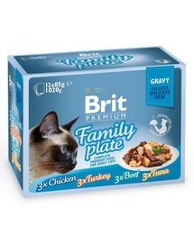 BRIT Premium Cat pouch gravy fillet Family plate Saszetki w sosie dla kotów, mix smaków 1,2 kg zestaw  (12x85 g)
