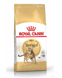 Royal Canin Bengal Adult 20 kg - sucha karma dla dorosłych kotów rasy bengalskiej 20 kg (2 x 10 kg)