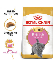 ROYAL CANIN® British Shorthair Kitten to karma opracowana dla brytyjskich krótkowłosych kociąt. Wspiera rozwój mięśni i szkieletu, zdrowie układu pokarmowego oraz wzmacnia naturalną odporność.