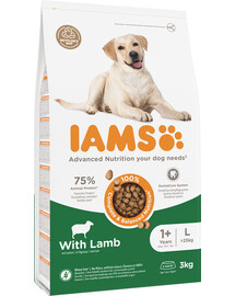 IAMS For Vitality Adult Large Breed Lamb 3 kg - sucha karma dla dorosłych psów ras dużych,