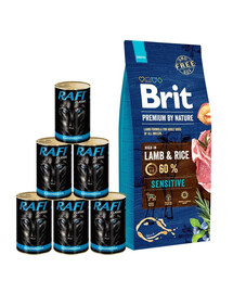 BRIT Premium By Nature Sensitive Lamb 15 kg + mokra karma z jagnięciną zestaw  6x1240g