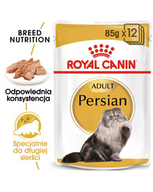 ROYAL CANIN Persian Adult 24x85 g karma mokra - pasztet, dla kotów dorosłych rasy perskiej