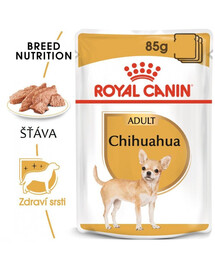 ROYAL CANIN Chihuahua Adult karma mokra - pasztet, dla psów dorosłych rasy chihuahua 48x85g