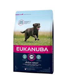 Eukanuba Adult Large Breed Chicken 15 kg - sucha karma dla psa 15kg