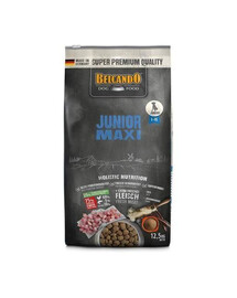 BELCANDO Junior Maxi L-XL 12.5 kg sucha karma dla psów ras dużych od 4 miesiąca życia
