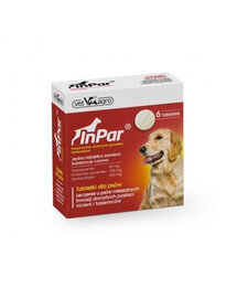 VET-AGRO InPar Tabletki na odrobaczanie psa pasożyty wewnętrzne 6 szt