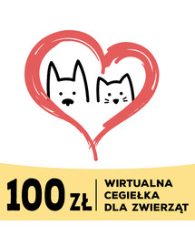 Wirtualna cegiełka dla zwierząt 100 zł