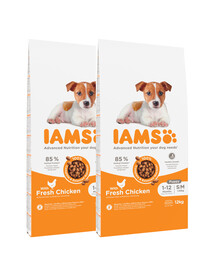 IAMS ProActive Health Puppy & Junior Small & Medium Breed Chicken 24 kg (2 x 12 kg)- sucha karma dla szczeniąt ras małych i średnich