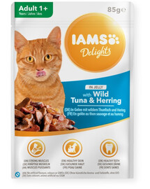 IAMS Cat Adult All Breeds Tuna & Herring In Jelly 85g - karma mokra dla kota w galarecie
