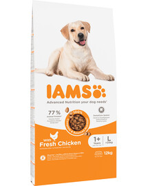 IAMS ProActive Health Adult Large Breed Chicken 12 kg - sucha karma dla dorosłych psów ras dużych L