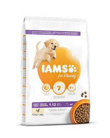 IAMS ProActive Health Puppy & Junior Large Breed Chicken 12 kg sucha karma dla  szczeniąt ras dużych