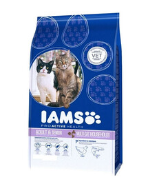 IAMS ProActive Health Adult & Mature & Senior Multi-Cat Households with Salmon & Chicken 15 kg -sucha karma dla starszych kotów