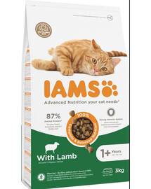 IAMS Cat Adult All Breeds Lamb 3 kg - sucha karma dla kotów