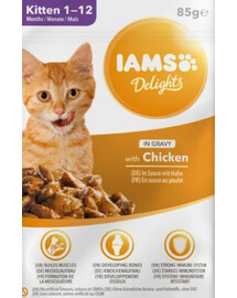 IAMS Cat Kitten All Breeds Chicken In Gravy Pouch 85 g - mokra karma dla kociąt