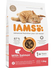 IAMS for Vitality Salmon karma dla kotów z łososiem, 1,5 kg - sucha karma dla dorosłych kotów, 1,5 kg
