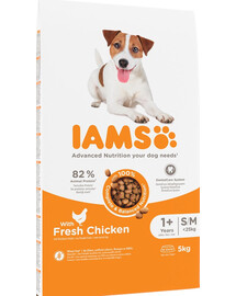 IAMS For Vitality Adult Small & Medium Breed Chicken, 5 kg - sucha karma dla dorosłych psów, ras małych i średnich, 5 kg