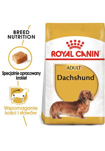 Dachshund adult 0.5 kg