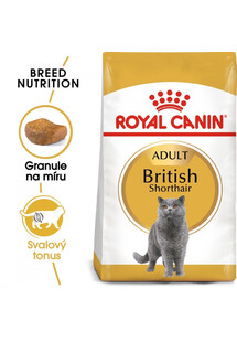 Royal Canin British Shorthair Adult 20 kg - sucha karma dla dorosłych kotów rasy brytyjski krótkowłosy 20 kg (2 x 10 kg)