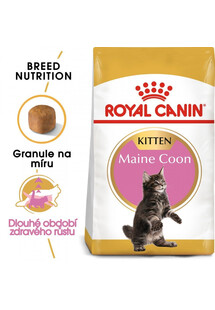 ROYAL CANIN Kitten Maine Coon 10kg granule pro mainská mývalí koťata