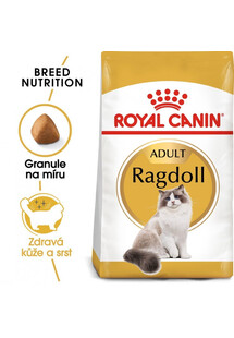 ROYAL CANIN Ragdoll Adult 10kg granule pro Ragdoll kočky