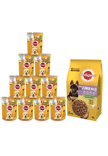 PEDIGREE Junior 15kg (duże rasy) z kurczakiem i ryżem + mokra karma 24x400g