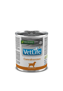 VetLife Convalescence dietetyczna karma w puszkach dla psów 300g