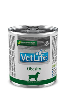 VetLife Natural Diet Dog Obesity karma dietetyczna dla psów 300 g