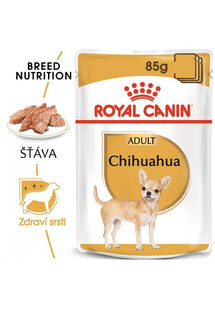 ROYAL CANIN Chihuahua Adult karma mokra - pasztet, dla psów dorosłych rasy chihuahua 48x85g