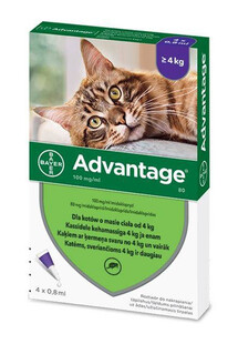 BAYER ADVANTAGE KOT roztwór na pchły 0,8ml x 4 kot powyżej 4kg