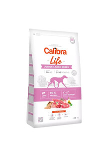 Dog Life Junior Large Breed Lamb 2,5 kg dla szczeniąt ras dużych jagnięcina