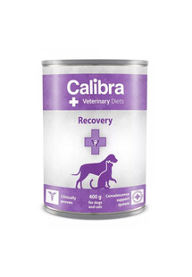 Veterinary Diet Dog&Cat Recovery 400 g