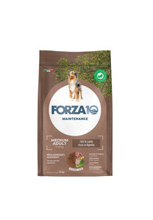 FORZA10 Medium Adult Maintenance Lamb Rice 12 kg sucha karma dla psów średnich ras