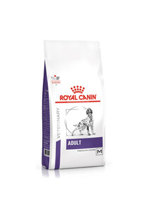 Royal Canin Adult 4 kg - sucha karma dla dorosłych psów 4kg