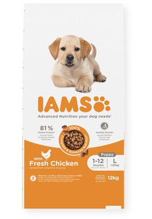 IAMS Advanced Nutrition Puppy Junior Large Breed Chicken 12 kg dla szczeniąt z kurczakiem