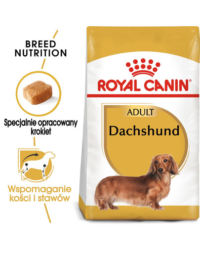 Dachshund adult 0.5 kg