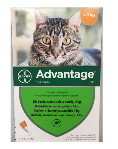 BAYER ADVANTAGE Roztwór do nakrapiania kot 0,4 ml (do 4 kg)