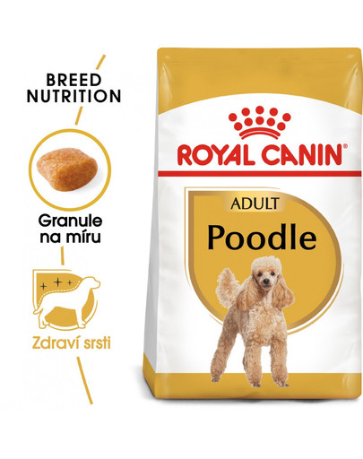 Poodle adult 0.5 kg karma sucha dla psów dorosłych rasy pudel miniaturowy