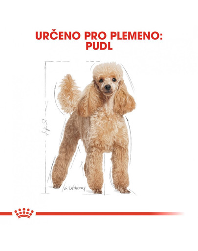 Poodle Adult 7,5 kg