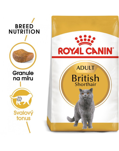 Royal Canin British Shorthair Adult 20 kg - sucha karma dla dorosłych kotów rasy brytyjski krótkowłosy 20 kg (2 x 10 kg)