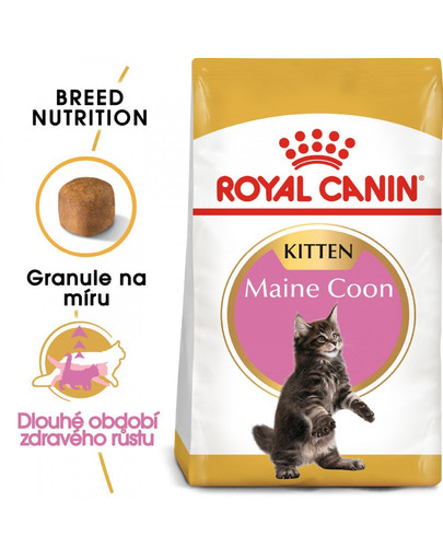 ROYAL CANIN Kitten Maine Coon 10kg granule pro mainská mývalí koťata