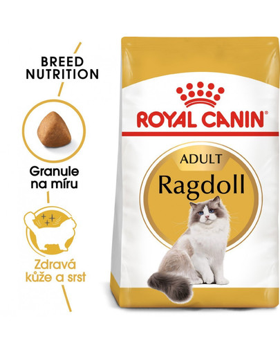 ROYAL CANIN Ragdoll Adult 10kg granule pro Ragdoll kočky