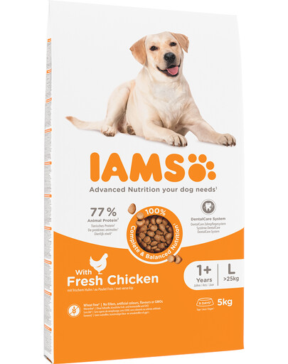 IAMS For Vitality Adult Large Breed Chicken 5 kg - sucha karma dla dorosłych psów ras dużych