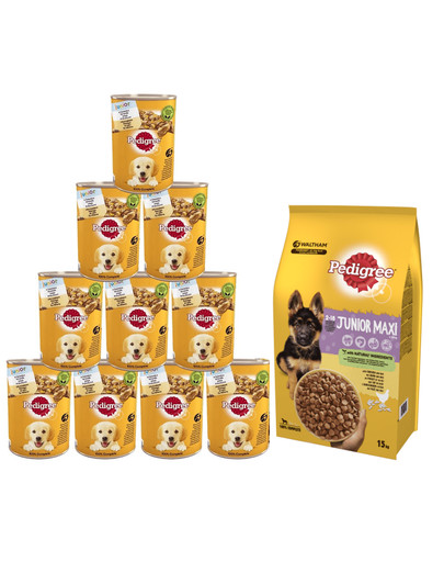 PEDIGREE Junior 15kg (duże rasy) z kurczakiem i ryżem + mokra karma 24x400g