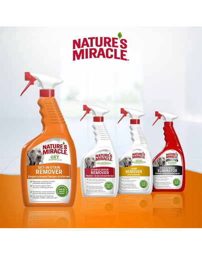 NATURE'S MIRACLE SET-IN OXY Stain&Odour Remover Dog 709 ml