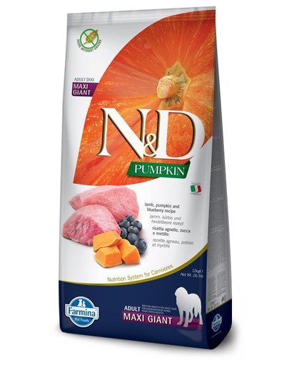 N&D Pumpkin Dog Adult Giant Maxi lamb & bluberry 12 kg jagnięcina i borówki